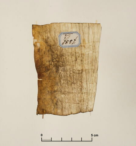 parchemin, image 2/2