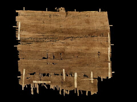 papyrus documentaire, image 2/2