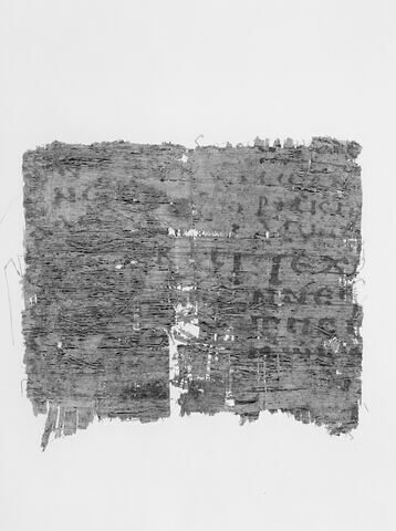 papyrus littéraire