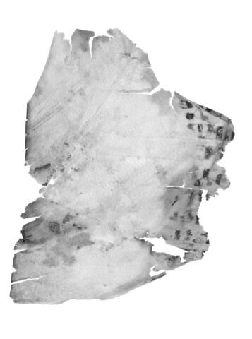 feuillet de codex ; fragments, image 10/13
