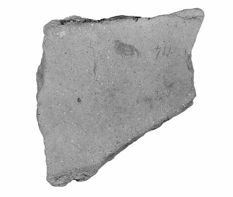 ostracon ; fragment