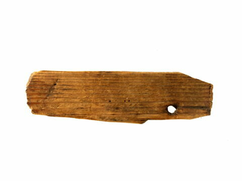 étiquette de momie, image 2/2