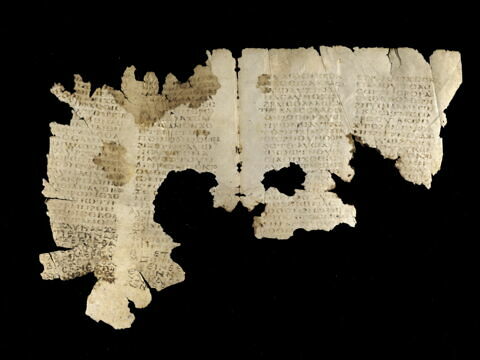 parchemin ; fragment, image 2/2