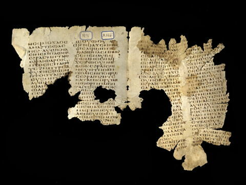 parchemin ; fragment