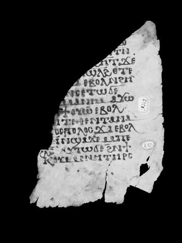 feuillet de codex ; fragment, image 4/4