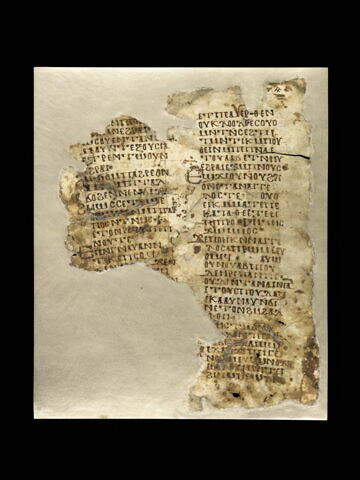 Codex GZ, image 3/3