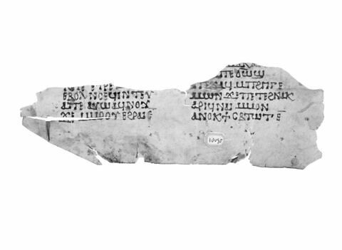 feuillet de codex ; fragment, image 5/5