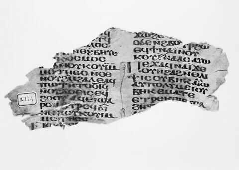 feuillet de codex ; fragment, image 6/7