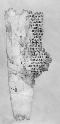 feuillet de codex ; fragment, image 4/5