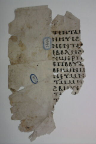 feuillet de codex ; fragment, image 3/5