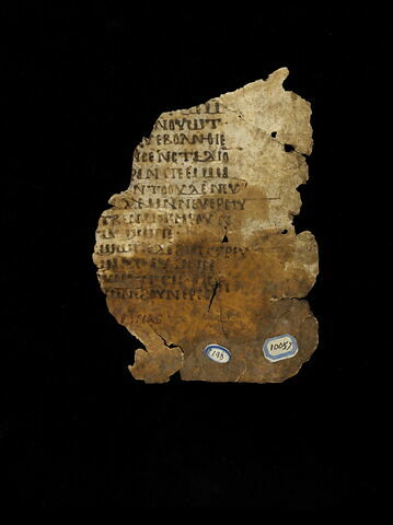 feuillet de codex ; fragment, image 2/5