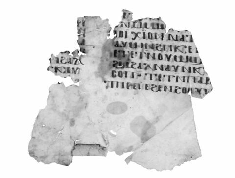 feuillet de codex ; fragment, image 3/4