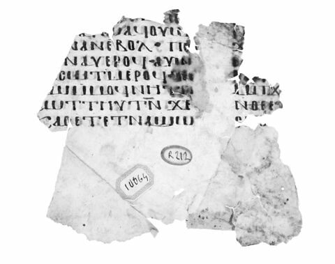 feuillet de codex ; fragment, image 4/4