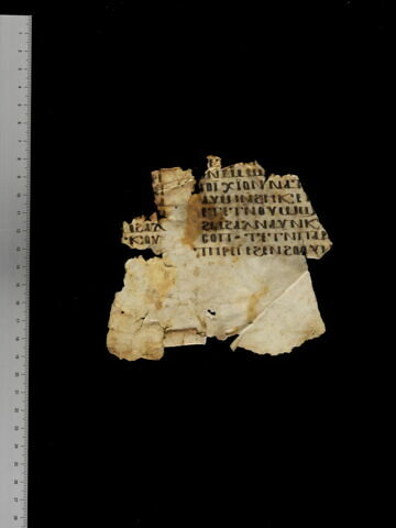 feuillet de codex ; fragment, image 2/4