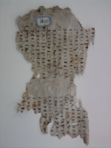 feuillet de codex ; fragment, image 2/3