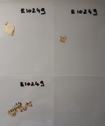 feuillet de codex ; fragments, image 2/5