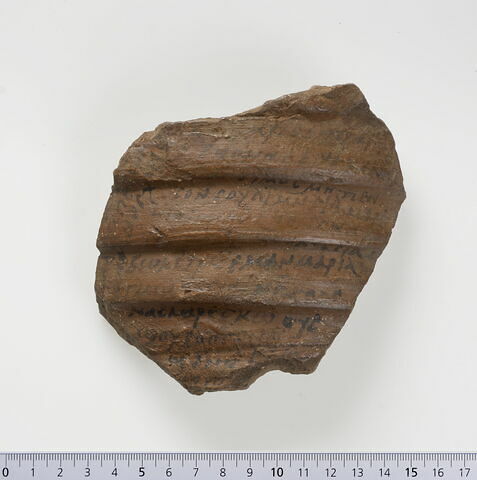 ostracon ; fragment, image 1/1