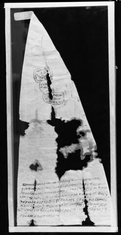 parchemin ; fragments, image 3/4
