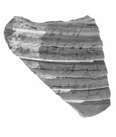 ostracon ; fragment