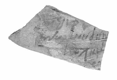 ostracon ; fragment