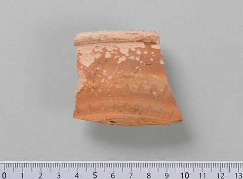 ostracon, image 2/3