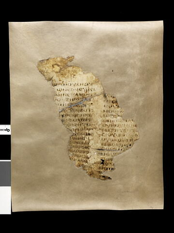 parchemin, image 3/3