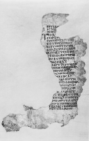 feuillet de codex ; fragment, image 5/5