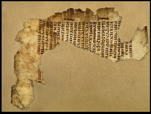 feuillet de codex ; fragment
