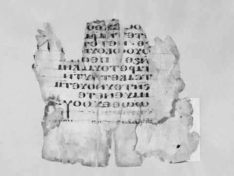 feuillet de codex ; fragment, image 4/5