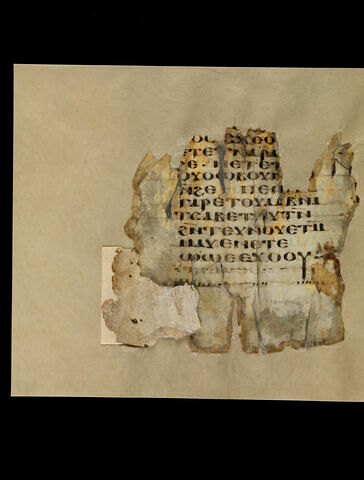 feuillet de codex ; fragment, image 3/5