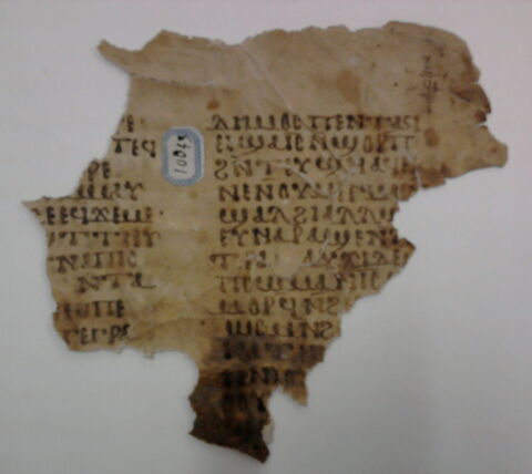 feuillet de codex ; fragment, image 2/3