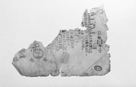 feuillet de codex ; fragment, image 5/5