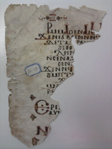 feuillet de codex ; fragment, image 2/5