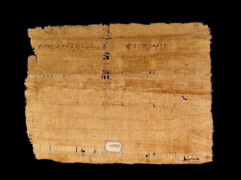 papyrus documentaire, image 2/2