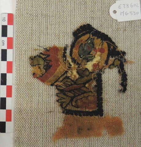 orbiculus ; fragment, image 2/2