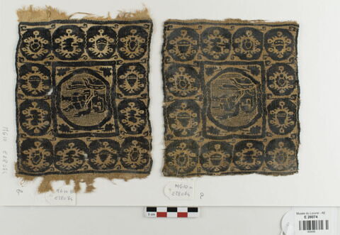 tabula  ; fragment