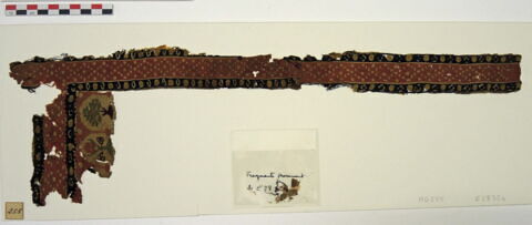 clavus ; fragment, image 3/3