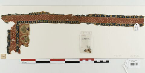 clavus ; fragment, image 2/3
