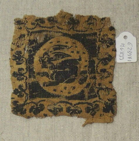 tabula, image 2/2