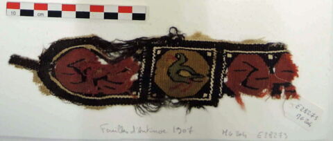 clavus ; fragment, image 2/2