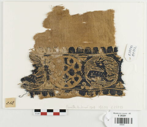 clavus ; fragment