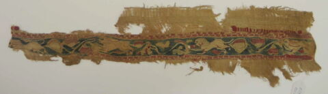 clavus, image 2/2