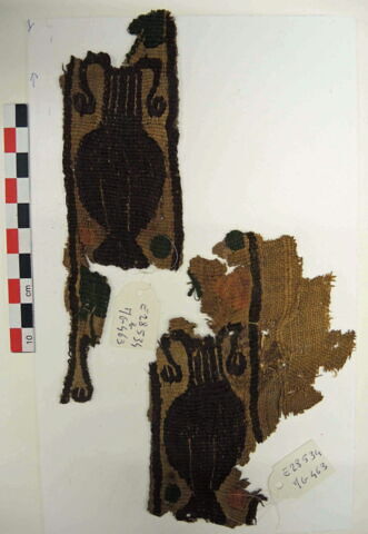 clavus, image 2/2