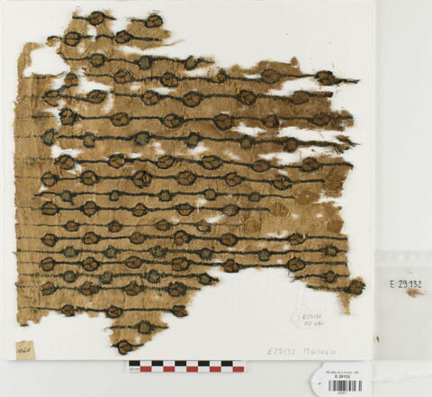 tunique  ; fragment