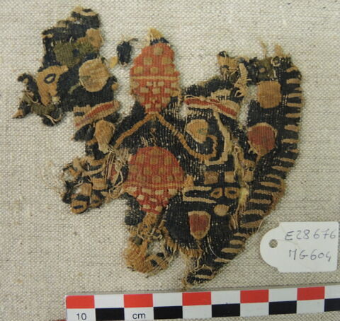 orbiculus, image 2/2