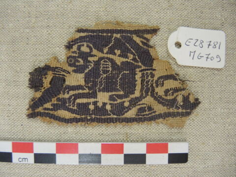clavus, image 2/2