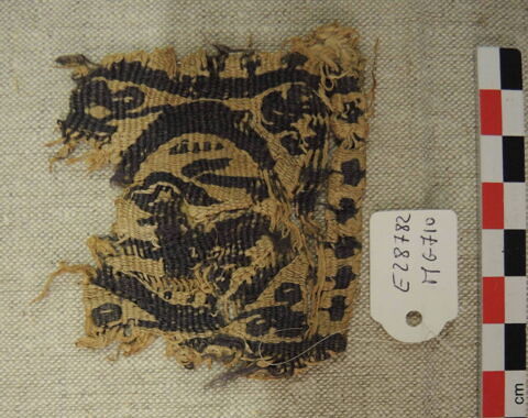 tabula, image 2/2