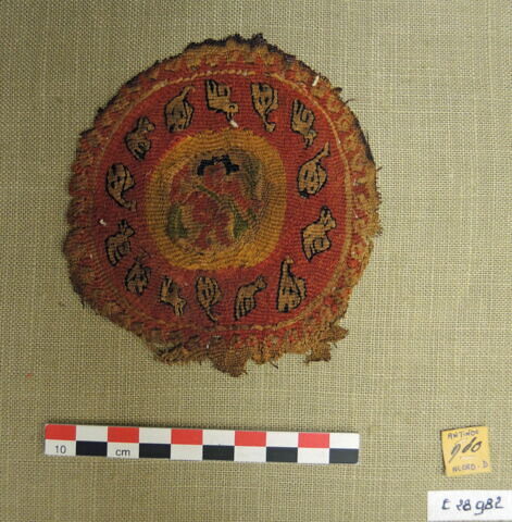 orbiculus, image 2/2