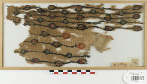 tunique  ; fragment