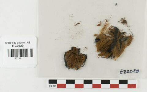 tunique  ; fragments, image 2/4